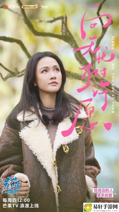 《妻子6》在线观看免费版电视剧：爱情与家庭的深刻探讨