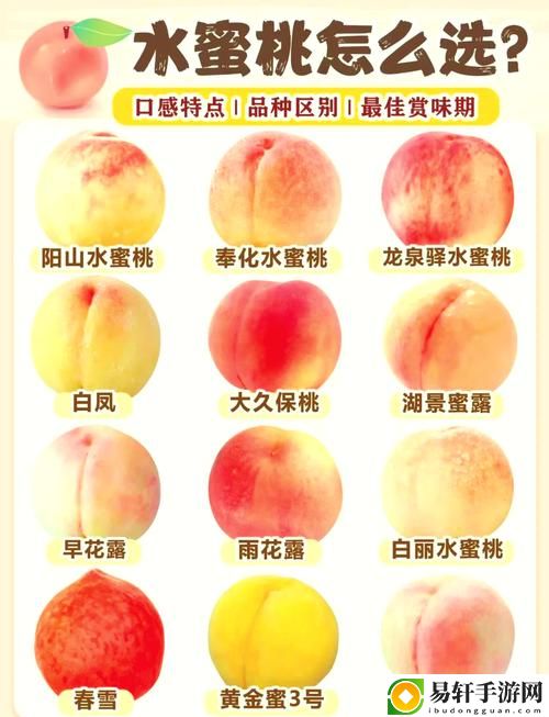  探寻蜜桃国精产品二三三区的独特魅力