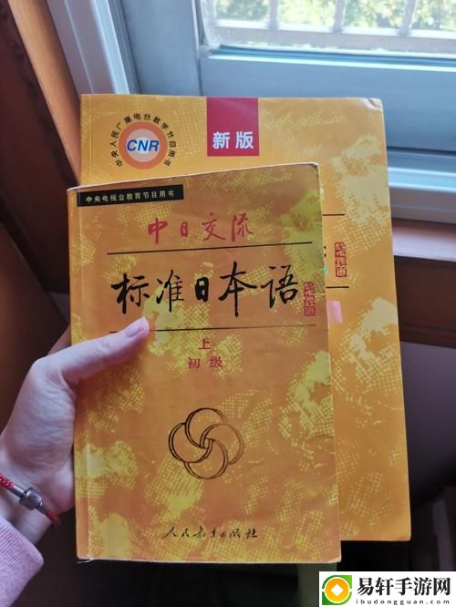  日本xl是亚洲版还是欧洲版好？深入解析选择的关键因素
