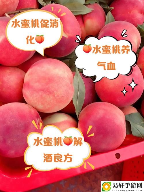  美丽的水蜜桃2最经典的一句：青春的甜蜜与岁月的印记