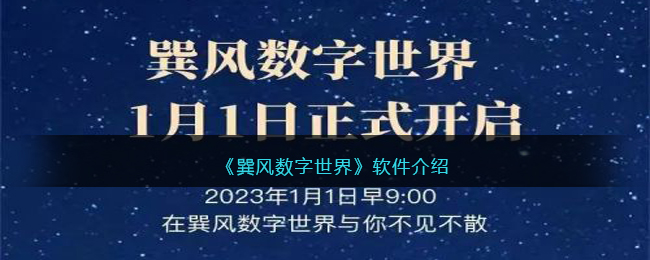 巽风数字世界软件介绍