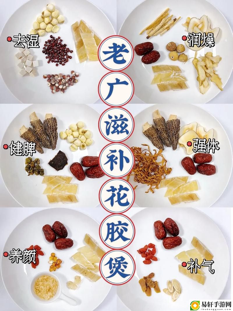 人狗胶配方大全高清，网友评价：实用与创新的完美结合