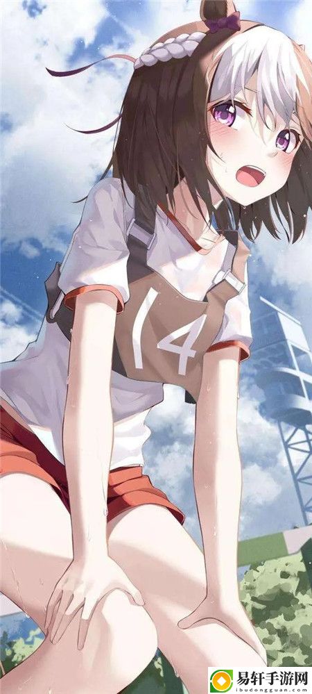 岳婿合体10章之后还有原著吗：探索故事的延续与发展