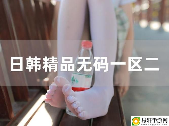 探索“一色一伦一区二区三区”的独特魅力与深远影响