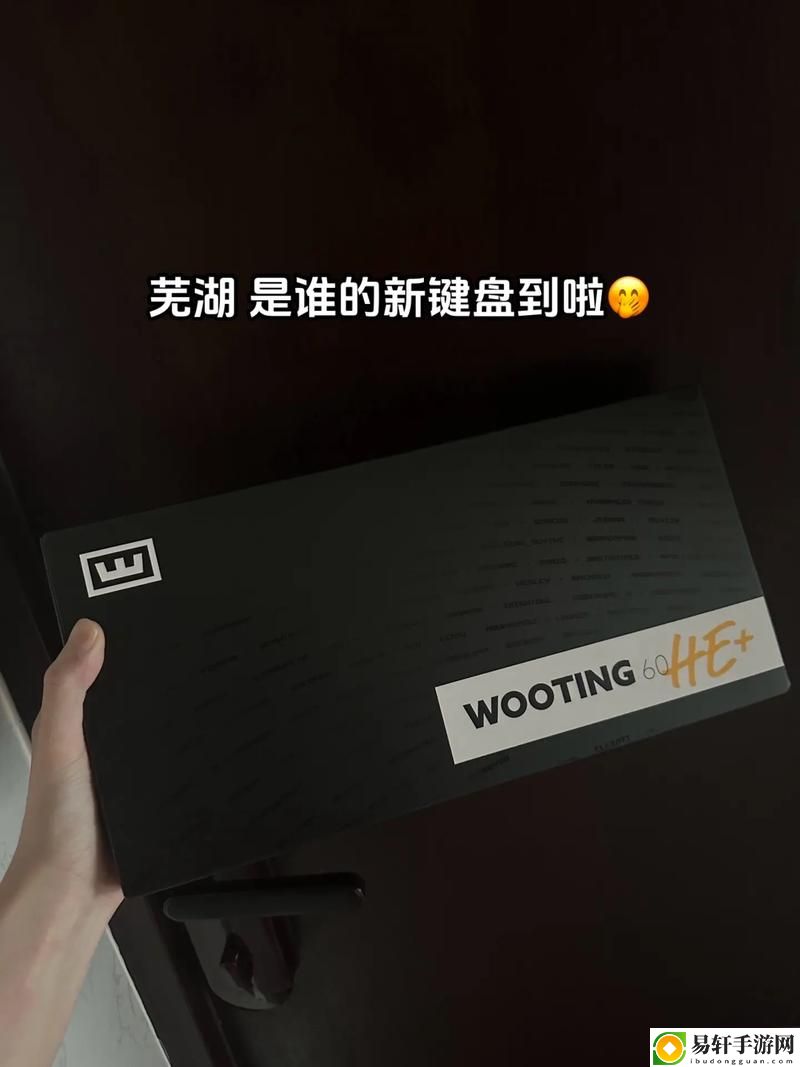十九岁暴躁少女CSGO免费观看