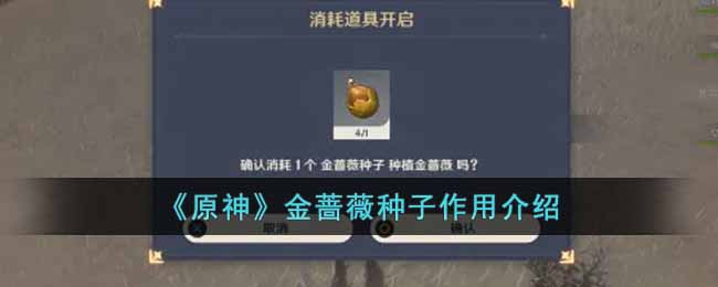 原神金蔷薇种子作用介绍