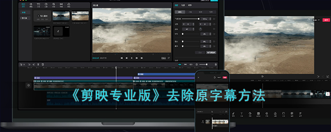 剪映专业版去除原字幕方法