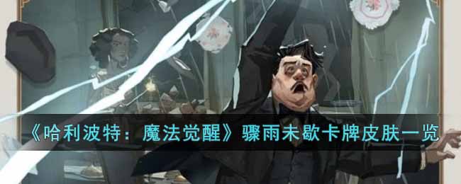 哈利波特：魔法觉醒骤雨未歇卡牌皮肤一览