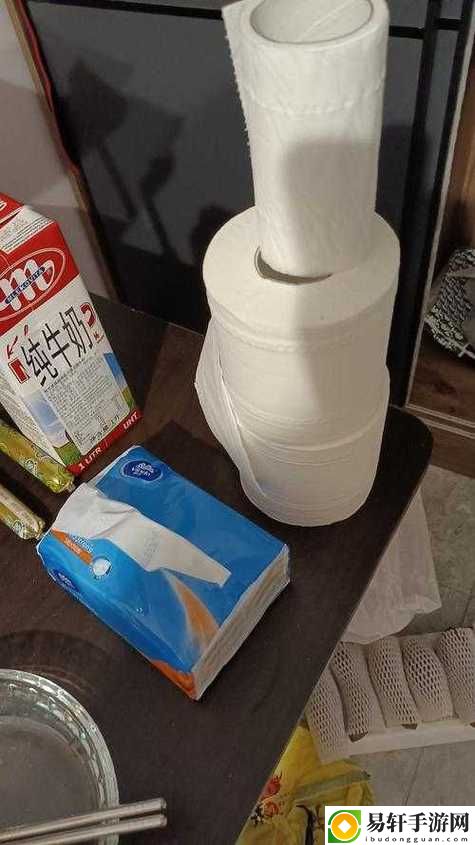 已满十八岁准备卫生纸：青春的幽默与自嘲