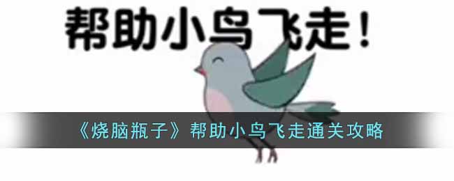 烧脑瓶子帮助小鸟飞走通关攻略
